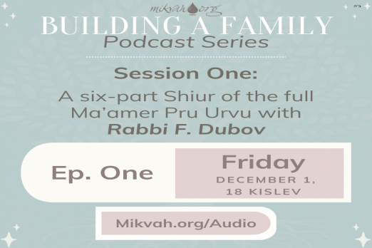 Building a Family Maamer Pru Urvu By Rabbi Dubov