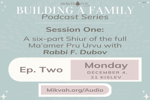 Building a Family Maamer Pru Urvu By Rabbi Dubov Part Two