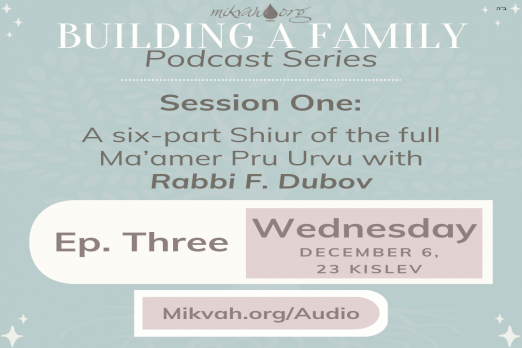 Building a Family Maamer Pru Urvu By Rabbi Dubov Part Three