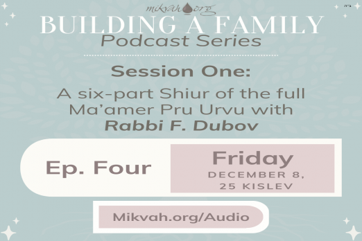 Building a Family Maamer Pru Urvu By Rabbi Dubov Part Four