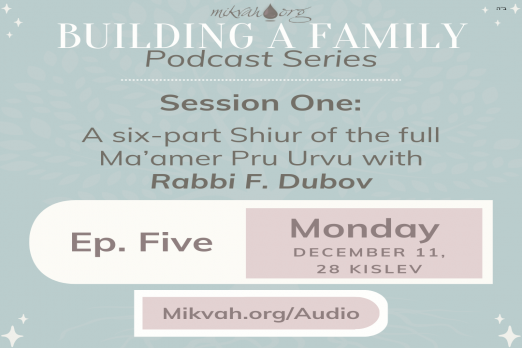 Building a Maamer Pru Urvu By Rabbi Dubov Part Five