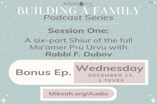 Building a Family Maamer Pru Urvu By Rabbi Dubov Bonus