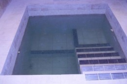 Mikvah Facts 