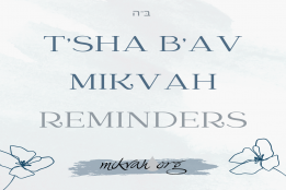 Mikvah on TiSha BAv