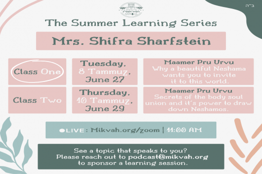 The Summer Learning Series Class One: Why a Beautiful Neshama Wants You to Invite It Into This World