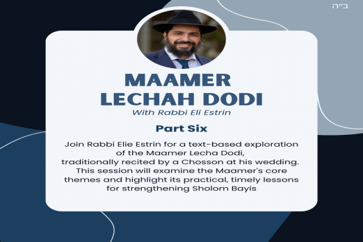 Part Six: Maamer Lechah Dodi with Rabbi Eli Estrin
