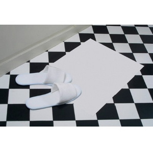 Plastic Coated Floor Mats (case)