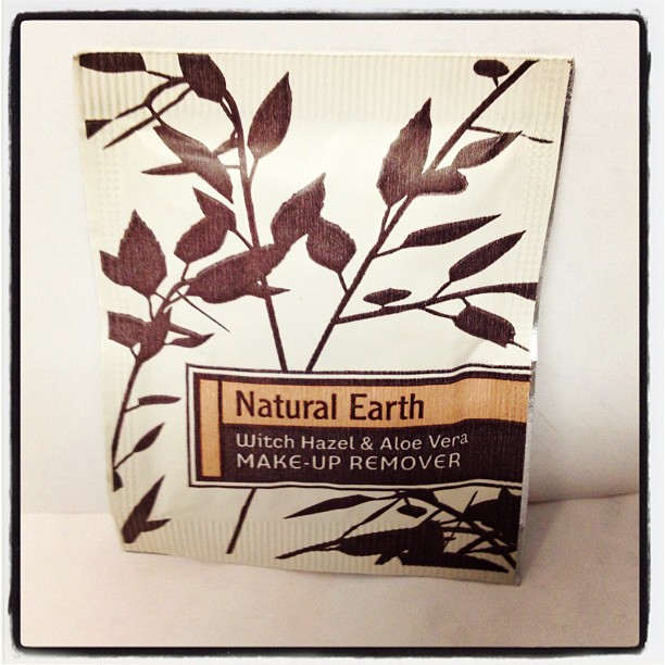Natural Earth Witch Hazel Aloe Vera Makeup Remover (10 pcs)