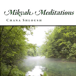 Mikvah Meditations